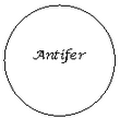 Photo  Antifer